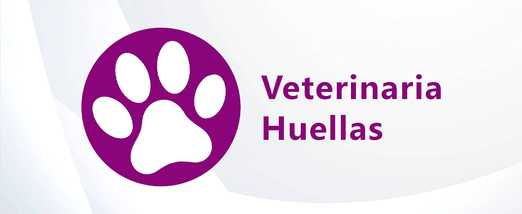Imagen de carátula App Veterinaria